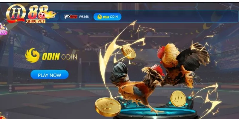 Ưu điểm nổi bật chỉ có tại sảnh đá gà QH88