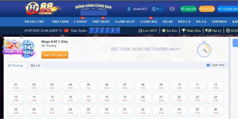 Thông tin đặc sắc về xổ số Mega 6/45 tại QH88